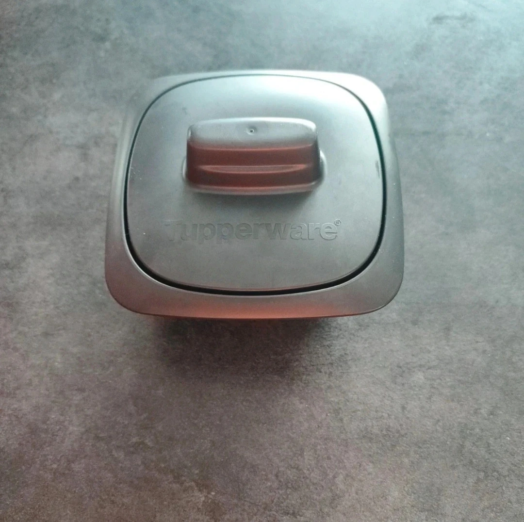 Cocotte individuelle ultra pro tupperware contenance 250 ml